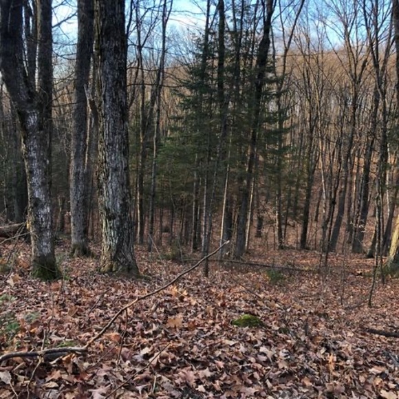 Meet your Posher, Jay - Picture 1 of 1